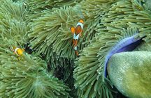 Lanta 4 Islands + Emerald Cave Snorkeling Tour by Speedboat