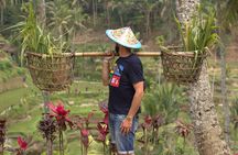 All Inclusive Ubud Tour with 15 Sitter Van