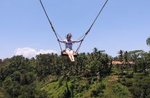 Ubud & volcano tour