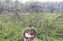 Ubud & volcano tour