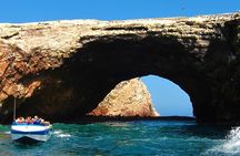 Paracas - Ica Full Day (Private tour)