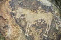 Day Trip to Tanbaly Petroglyphs