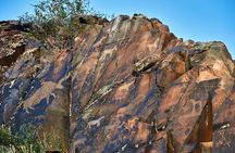 Day Trip to Tanbaly Petroglyphs
