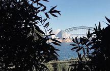 Sydney Icons & Bondi Half Day Private Tour 