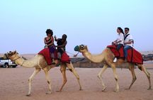 Abu Dhabi Evening Desert Safari with BBQ Dinner and all Camp Activities 