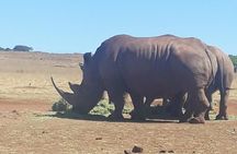 Rhino & Lion Nature Reserve 