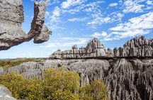 Tsingy of Bemaraha and Morondava in detail