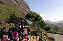 Private Day Trip to Munnar from Kochi (Cochin)