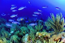 Try your Intro diving in Hurghada