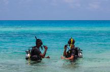 Try your Intro diving in Hurghada