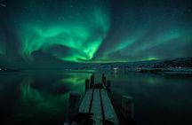 Tromsø: Aurora Hunt with Citizen Science with Wandering Owl
