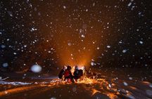 Tromsø: Aurora Hunt with Citizen Science with Wandering Owl