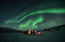 Tromsø: Aurora Hunt with Citizen Science with Wandering Owl