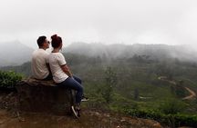 A Day in Nuwara Eliya: Sights & Local Delights
