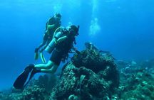Catalina Island Diving Tour