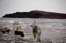 Jewels of Nuuk – Guided Walking Tour