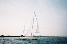 Afternoon Sail