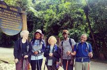 Kilimanjaro day hike. 