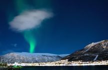 Northern lights cable car excursion