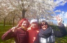  3h Private walking tour, Copenhagen