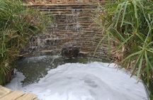 Pretoria Full-Day Tour