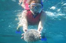 Scuba Doo Underwater Scooter in Punta Cana (Half Day) 