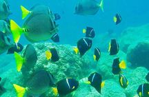 Visit paradisiac Islands in La Paz