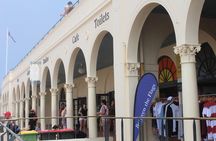 Sydney Shore Excursion: Half-Day Sydney City Highlights with Bondi Beach and Watsons Bay