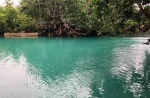 Discover Cascades & Turtle Experience with Yumi Tours