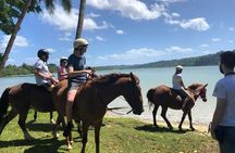 Horse Riding in Port Vila with Yumi Tours