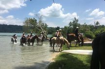 Horse Riding in Port Vila with Yumi Tours
