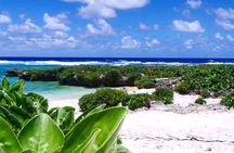 Horse Riding in Port Vila with Yumi Tours