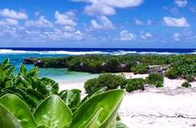 Snorkeling at Top Rock with Yumi Tours