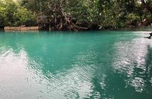 Full-Day Efate Round Island Trip with Yumi Tours