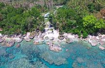 Turtle Encounter with Yumi Tours