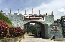 Ipoh City Tour from Kuala Lumpur