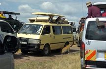 3days/2nights group joining Masai Mara with Masai Village Visit
