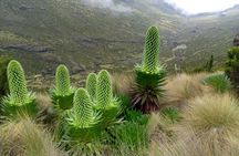 Climbing Mount Kenya 5 Days Via Chogoria Route