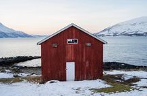 Winter Fjord Road Trip with Citizen Science with Wandering Owl