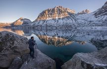 Winter Fjord Road Trip with Citizen Science with Wandering Owl