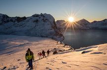 Tromsø: Winter Snowshoeing with Wandering Owl