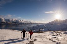 Tromsø: Winter Snowshoeing with Wandering Owl