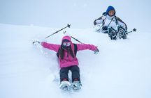Tromsø: Winter Snowshoeing with Wandering Owl