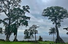 Tour of Bioko Island