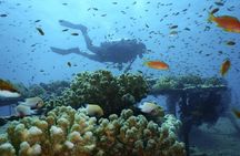 Day tour to Red sea ain EL Sokhna from Cairo 