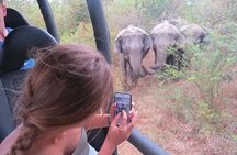 Majestic beast safari, Sri Lanka’s oldest Elephant Park-Udawalawe National Park
