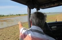 Majestic beast safari, Sri Lanka’s oldest Elephant Park-Udawalawe National Park