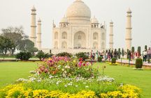 Taj Mahal Private Guided Tour from Delhi with Entrance