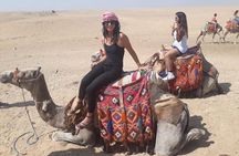 Best Private Tour to Giza Pyramids and Saqqara from the Mena House Hotel 