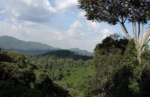 3 Days Nyungwe Natural forest tour in Rwanda